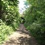 Parkland Walk
