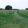 Trent Park
