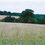 Trent Park
