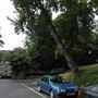 Oak Hill Park