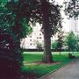 Florin Court