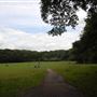 Highgate Wood