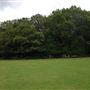 Highgate Wood