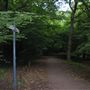 Queen's Wood
