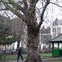 Clapton Square