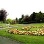 King Edward VII Park