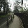 Tooting Bec Common