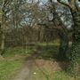 Tooting Bec Common