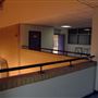 Queen Mother Sports Centre