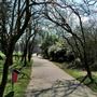 Wandsworth Common