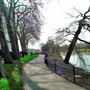 King George's Park