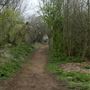 Wandle Meadow Nature Reserve