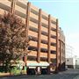 Rose Car Park
