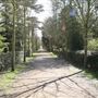 Chiswick House Grounds