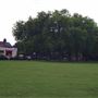 Chestnuts Park