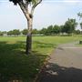 White Hart Lane Recreation Ground