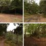 Petts Wood Parks