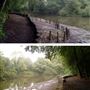 Keston Ponds