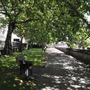 Victoria Tower Gardens