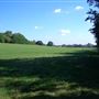 Alexandra Park