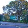 Rokesly Infant School