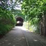 Cross Lane