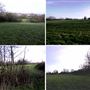 Totteridge Fields