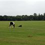 Beckton District Park