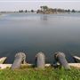 Lockwood Reservoir