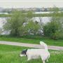 Lockwood Reservoir