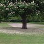 Valentines Park