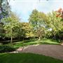 Blenheim & Elgin Communal Gardens