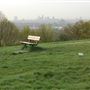 Parliament Hill
