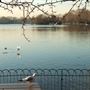 Serpentine, Hyde Park