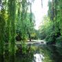 New River Path - Heritage Section