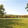 Hilly Fields