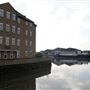 Barking Creek