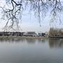Putney Embankment from Bishop's Park