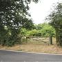 Whitings Wood