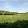 Blackbush & Twenty Acre Shaw Woods