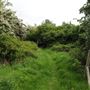 Pot Kiln Wood