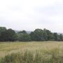 The Terrace Field