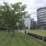 Potters Fields Park