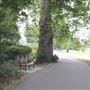 Buccleuch Gardens