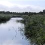 WWT London Wetland Centre