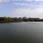 WWT London Wetland Centre