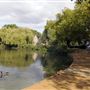 Barnes Green