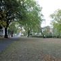Barnes Green