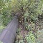 Waterworks Nature Reserve