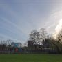 Allen Gardens